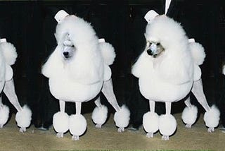 Does Pitching for Venture Capital Push Entrepreneurs Out?