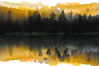 An abstract image of dark coniferous trees reflected in the water. The edges above the trees and their reflections are yellow.