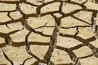 Tanzania’s Climate Change curbing Bids