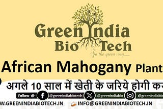 Green India Bio Tech: Your Trusted Plant Company in Patna