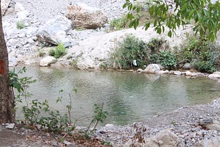 A serene pond. There is a tree at the far left. A few small branches could be see at the right corner, dangling from the top. At first glance, it seems like an artifiicial pond, but you had to be there