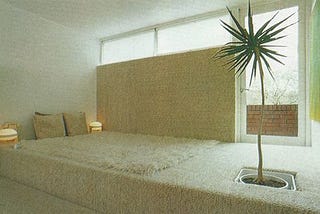 White interior, featuring a white simple floor bed and one small palm tree in front of it.