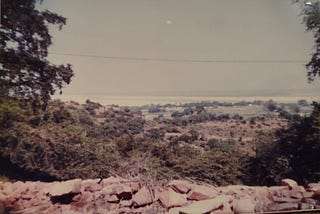 View from the hill top, the Ganges in the distance/photo by author