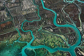 Landscape and Legacy: Earth Through Burtynsky’s Lens