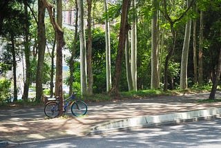 dappled light and bicycle