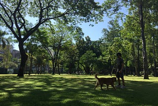 Ayala Triangle Gardens is Dog-friendly