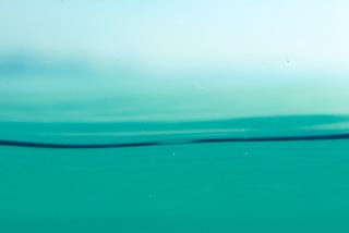 Experiment 3: Water Fasting