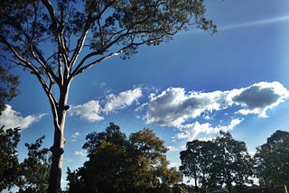 Thanksgiving Down Under: Why I Still Celebrate Every Year