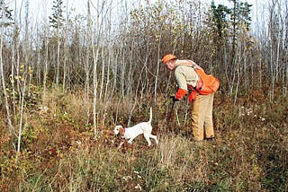 Techniques to Train a Dog for Field Trials