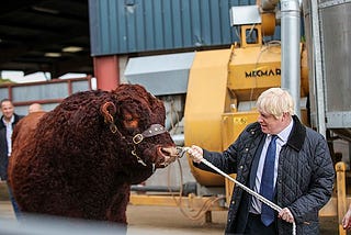 Is this the end for Boris Johnson?