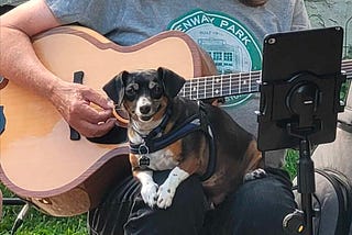 The Music Loving Pooch