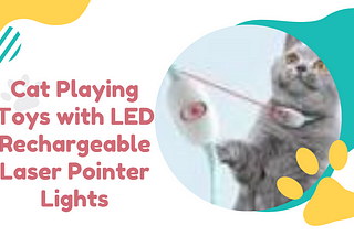 Cat Playing Toys with LED Rechargeable Laser Pointer Lights