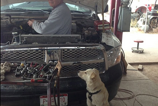 A person with short gray hair and a friendly expression is working under the raised hood of a large black pickup truck in a garage. The person is wearing a light-colored long-sleeve shirt and looking toward the camera while using a tool. In front of the truck, a light-colored dog wearing a harness sits upright on a small stool, gazing attentively at the person. A table with a variety of tools is positioned near the front bumper.
