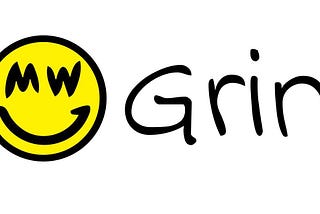Grin — The Birth of a New Asset