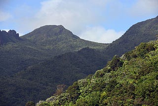 A Guide to Solo Hiking El Yunque Rainforest: Puerto Rico
