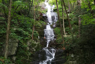 Mosquitoes at Buttermilk Falls