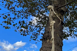 Haunting Skeletons