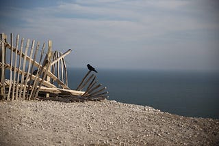 broken brown wooden fence by water