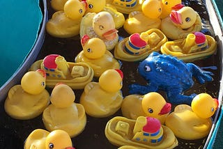 A narrow waterway packed full of rubber ducks, frogs, and bath-toy boats floating in it.
