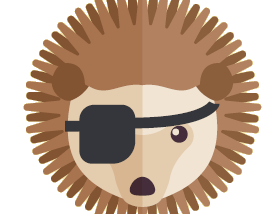 Hedgehogs and eyepatches: on the importance of user feedback