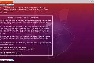 Installing Flutter on WSL2 — Windows 10