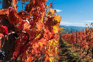 8 WEEKEND GOURMET D’AUTUNNO