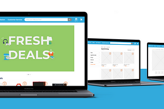 Case study: Recycle. Redesign. Rediscover. Rebolet.
