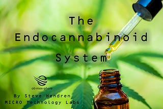 What is the Endocannabinoid system (ECS) anyway?