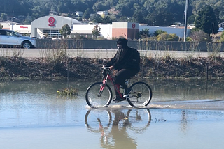 Race, history, ecology and design in the SF Bay Area: A Marin City case study