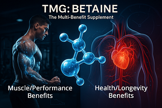 Split-screen image showing TMG/Betaine benefits: left side displays muscular male with blue energy flowing through muscles representing athletic performance; center shows 3D molecular structure of trimethylglycine; right side depicts human cardiovascular system with glowing red heart illustrating heart health and longevity benefits. Text reads ‘TMG: BETAINE — The Multi-Benefit Supplement’.
