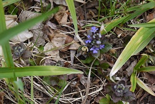 Be Beyond Awareness?