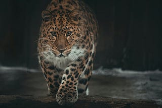 From Friend to Predator?