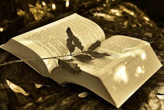 Memory of the World: Siapa yang Mengingat?