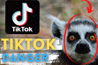 TikTok Troubles: The Surprising Disadvantages of the Viral Video App.