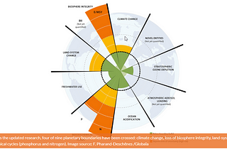 Planetary Health Diet — Not another fad but our responsibility..