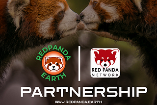 RedPanda Earth Partners with Red Panda Network — the World Leader in Red Panda Conservation!