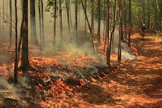 Protect Outdoor Workers with Prescribed Fires