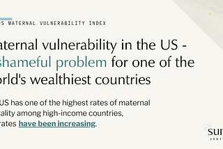 Introducing the US Maternal Vulnerability Index