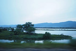 篠原朋子さんの場合