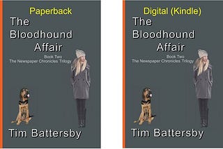 THE BLOODHOUND AFFAIR