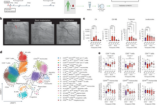 A multi-omic dataset was created from clinical blood tests (cl), scRNA-seq (SC), flow cytometry, cytokine assay (cy), plasma proteomics (p) and neutrophil (pmn) prime-seq. This was followed by MOFA model estimation and downstream analysis. Credit: Nature Medicine (2024). DOI: 10.1038/s41591–024–02953–4
