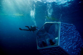 The Genesis of an Underwater Sculpture Park
