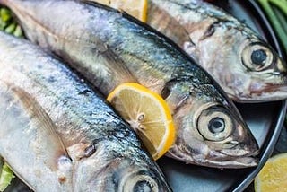 _Fish: The Aquatic Wonders_