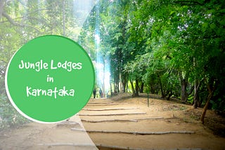 Jungle lodges and Resorts in Nagarhole, Mysore for Family