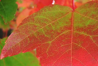 4 ways to kickstart positive changes this fall