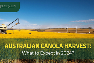 Australian Canola Harvest