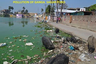 We do not want to ‘save the planet