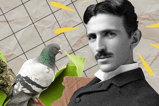 Today I Learned That Nikola Tesla Fell in Love With a Pigeon