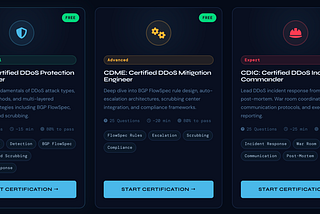 Take the CDDP (Certified DDoS Protection Practitioner) Exam Now!