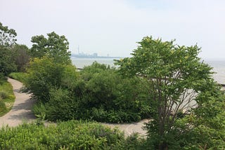 Which neighbourhoods in Toronto are the greenest?